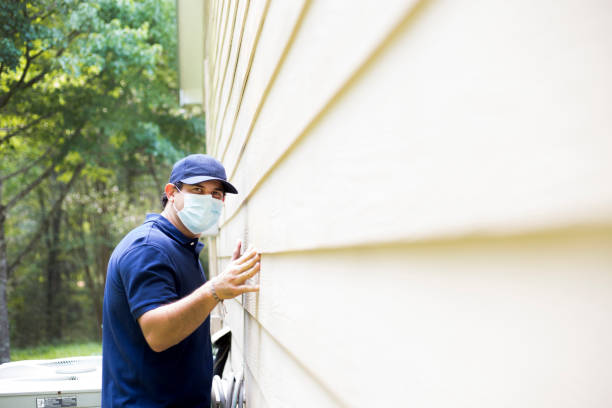 Affordable Siding Repair and Maintenance Services in Pea Ridge, FL